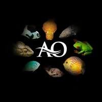 Aquarium Outfitters