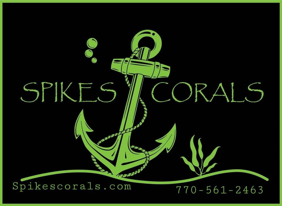 Spikes Corals