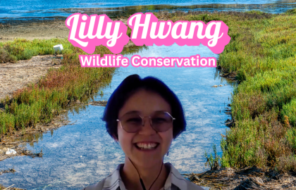 Lily Hwang