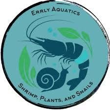 Errly Aquatics