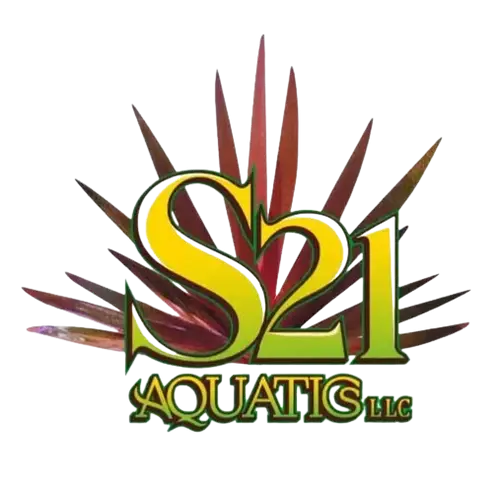 S21 Aquatics